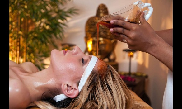 7 Days Ayurveda Wellness Package in MANJERI, KERALA, INDIA