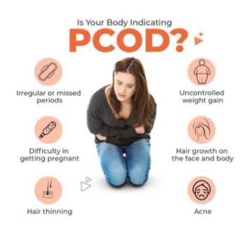 7  Days Ayurvedic Rejuvenation Program in PALAKKAD, KERALA, INDIA