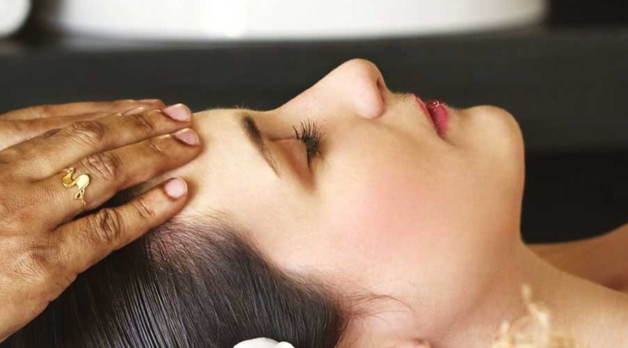 14 Days Ayurvedic Rejuvenation Program in PALAKKAD, KERALA, INDIA