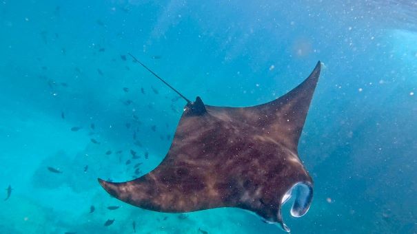 4 Day Island Yoga Holiday in BALI, INDONESIA