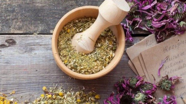 8 Day Virechana Panchakarma Detox, MANDREM, GOA, INDIA